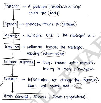 Screenshot 2026-03-12 175015