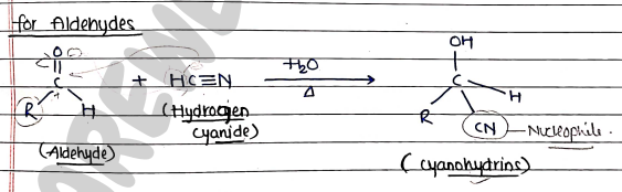 Screenshot 2026-03-13 165732