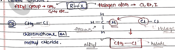 Screenshot 2026-03-13 125709