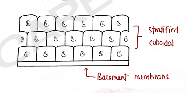 Screenshot 2026-02-09 214715.png