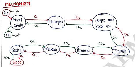 Screenshot 2026-03-11 163504