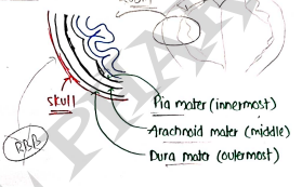 Screenshot 2026-03-12 175003