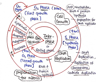 Screenshot 2026-02-07 170600