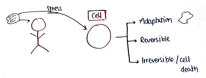 Screenshot 2026-03-10 152827