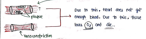 Screenshot 2026-03-11 163159