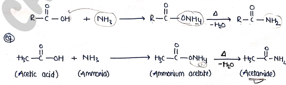 Screenshot 2026-03-16 215306