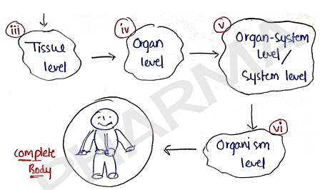 Screenshot 2026-02-07 161143