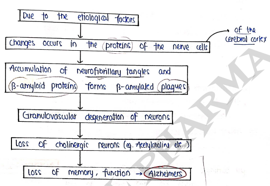 Screenshot 2026-03-12 124738