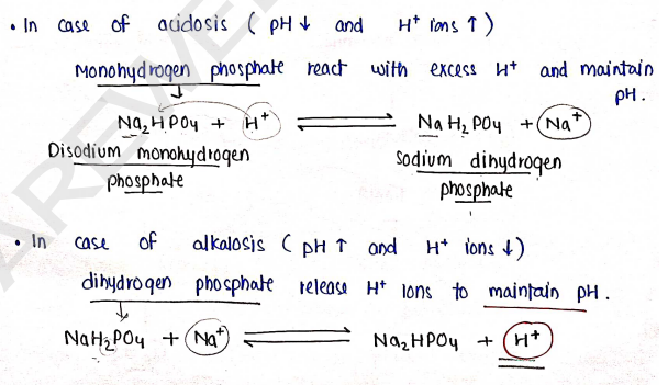 Screenshot 2026-02-17 192004