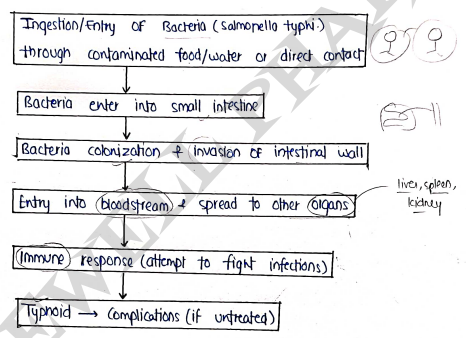 Screenshot 2026-03-12 175050