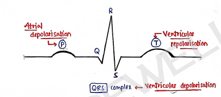 Screenshot 2026-02-11 212737