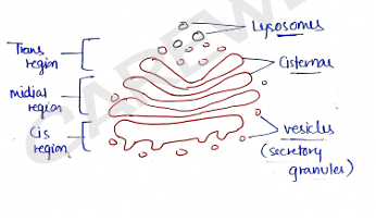 Screenshot 2026-02-07 170319