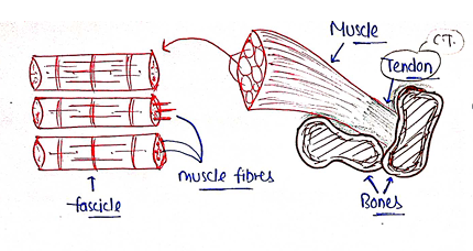 Screenshot 2026-02-09 214913.png