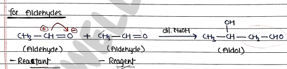 Screenshot 2026-03-13 170018