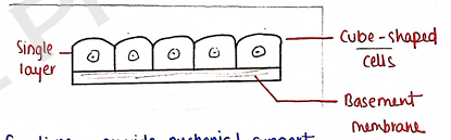 Screenshot 2026-02-09 214642.png