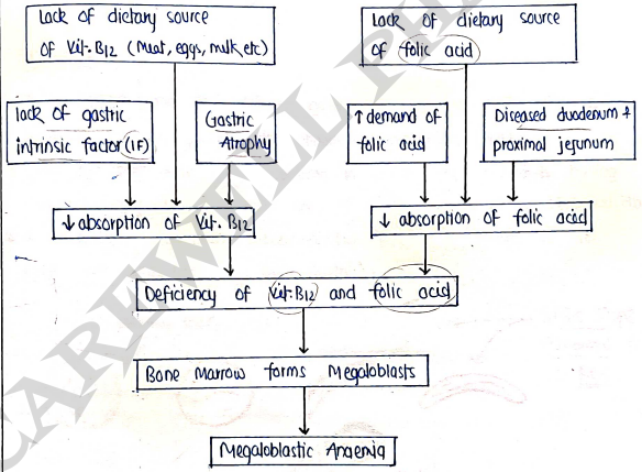 Screenshot 2026-03-12 123140