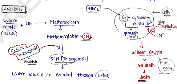 Screenshot 2026-02-22 195956