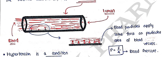 Screenshot 2026-03-11 162815