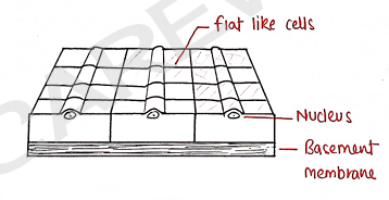 Screenshot 2026-02-09 214633.png