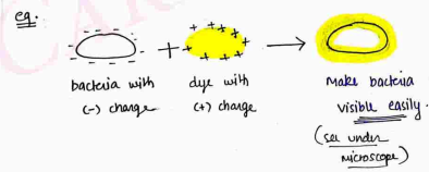 Screenshot 2026-04-06 163605