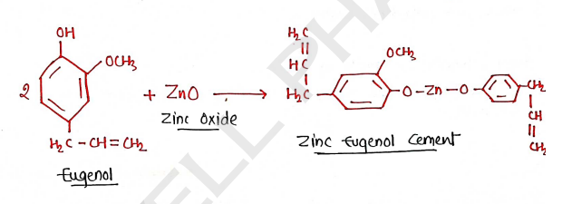 Screenshot 2026-02-17 205146