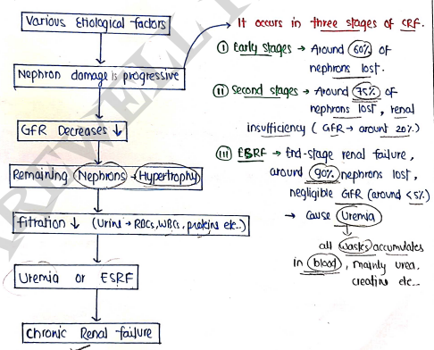 Screenshot 2026-03-11 164345