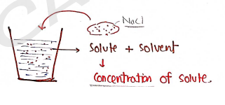 Screenshot 2026-02-17 170719