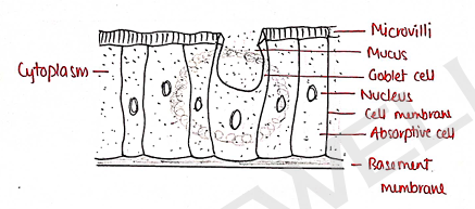 Screenshot 2026-02-09 214739.png