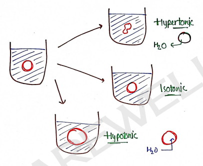 Screenshot 2026-02-17 170812