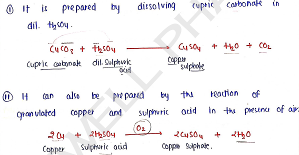 Screenshot 2026-02-22 195903