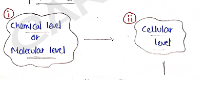 Screenshot 2026-02-07 161133