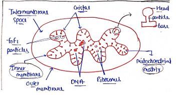 Screenshot 2026-02-07 170306