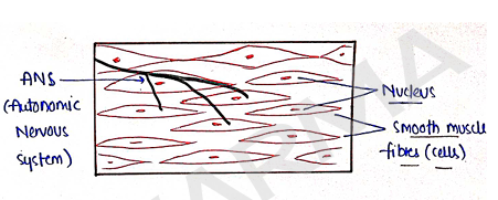 Screenshot 2026-02-09 214919.png