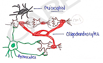 Screenshot 2026-02-09 214947.png