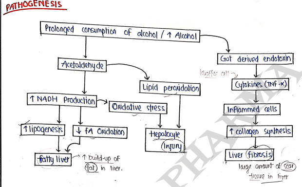 Screenshot 2026-03-12 144730