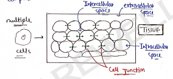 Screenshot 2026-02-07 170850