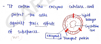 Screenshot 2026-02-07 170348