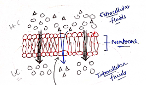 Screenshot 2026-02-07 170443