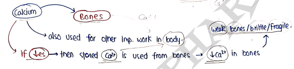 Screenshot 2026-03-12 144805