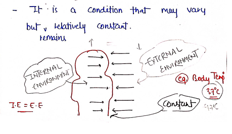 Screenshot 2026-02-07 161237