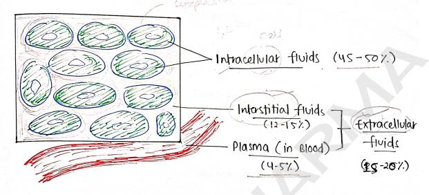 Screenshot 2026-02-17 191651