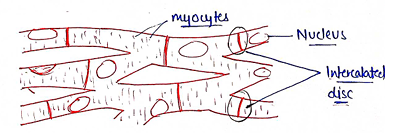 Screenshot 2026-02-09 214926.png