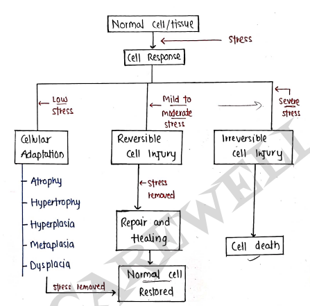 Screenshot 2026-03-10 152844