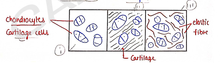 Screenshot 2026-02-09 214848.png