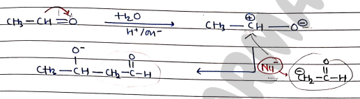 Screenshot 2026-03-13 170036