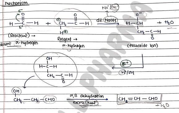 Screenshot 2026-03-13 172249