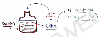 Screenshot 2026-02-17 170530