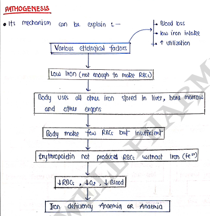 Screenshot 2026-03-12 130248