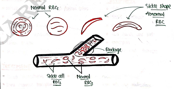 Screenshot 2026-03-12 123151