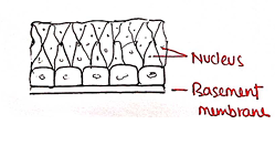 Screenshot 2026-02-09 214729.png